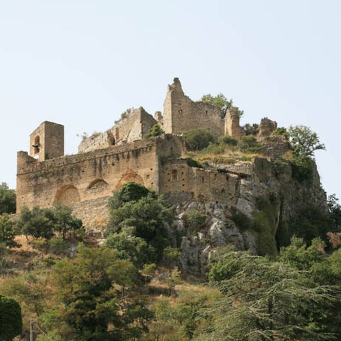 Photo de Ruines du Château dEntrechaux
